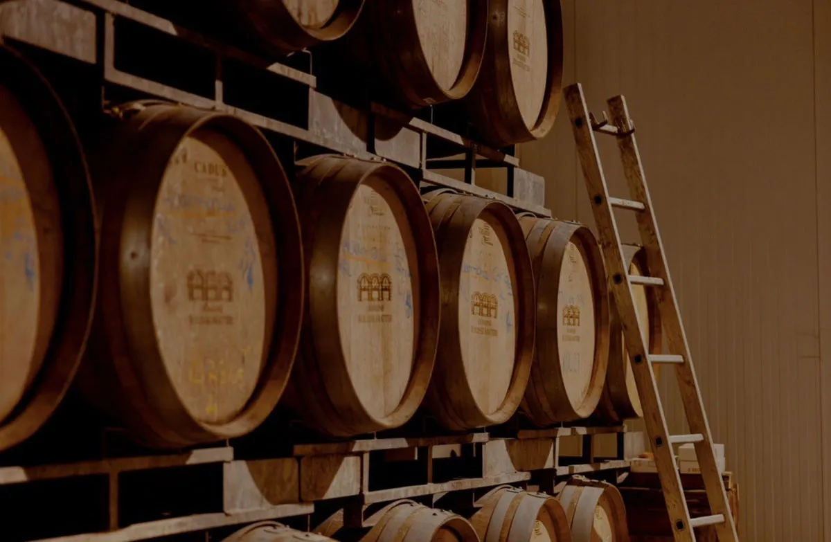 Domaine Matteri - Les vins